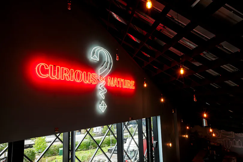 Curious Taproom