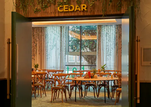 Cedar