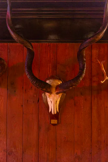 Red Dog Saloon Soho