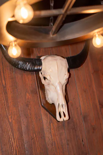 Red Dog Saloon Soho