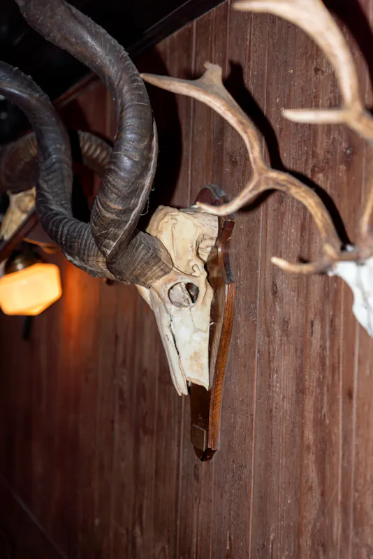 Red Dog Saloon Soho