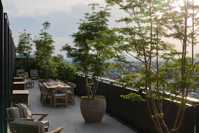 Six Senses London