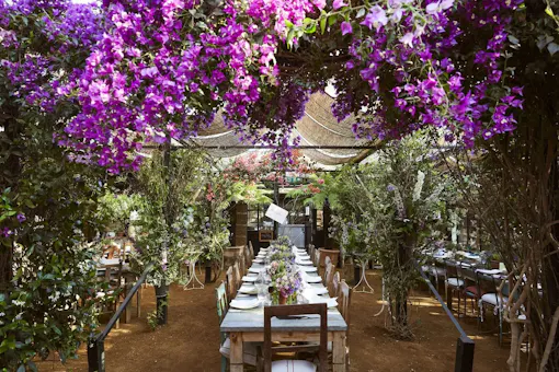 Petersham Nurseries