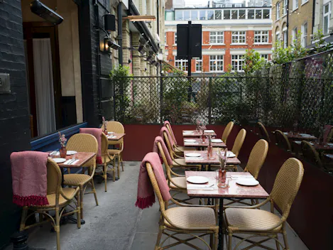The Terrace