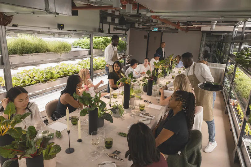 The Orangery TCR