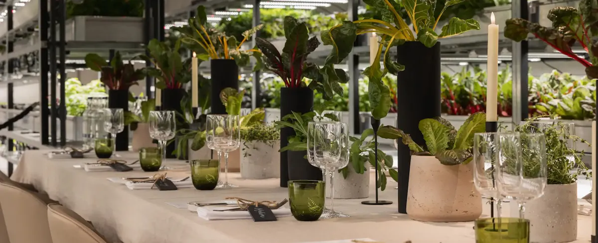 The Orangery TCR
