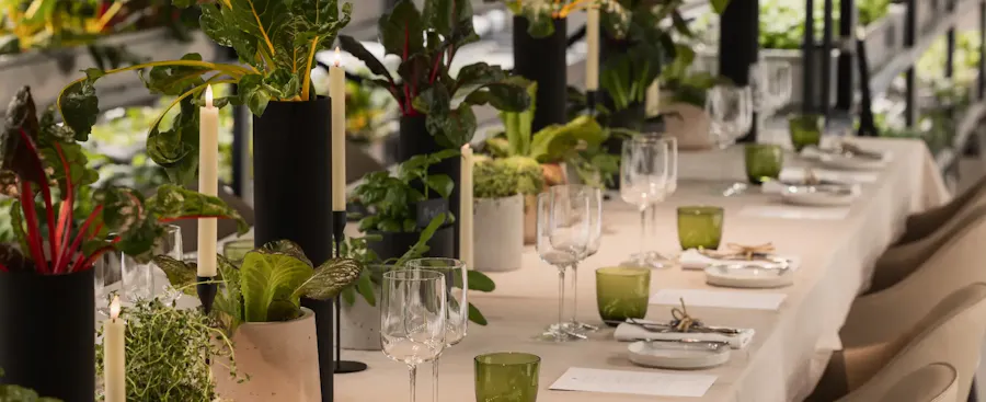 The Orangery TCR