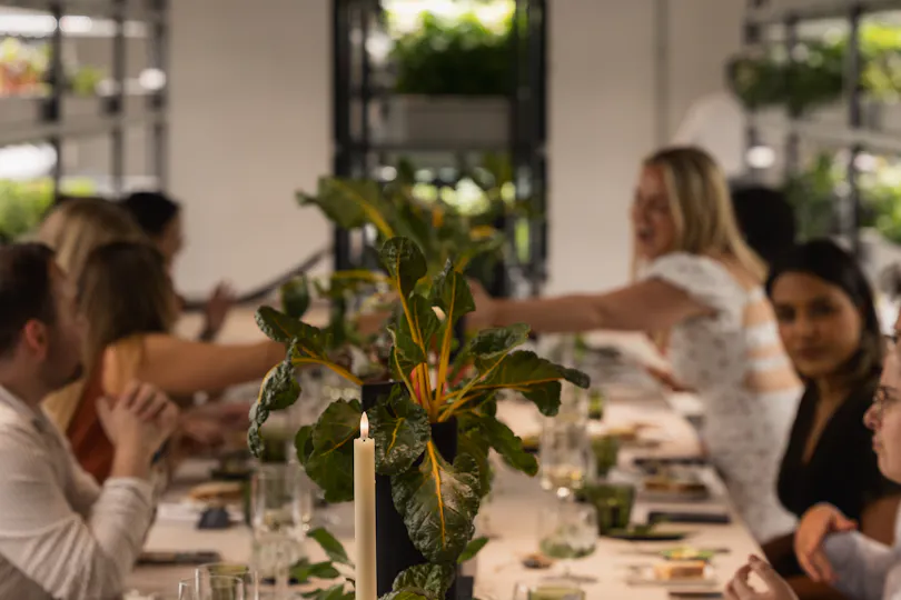 The Orangery TCR