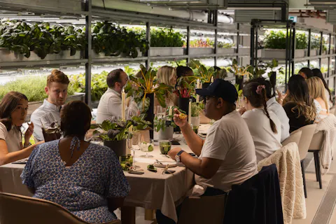 The Orangery TCR