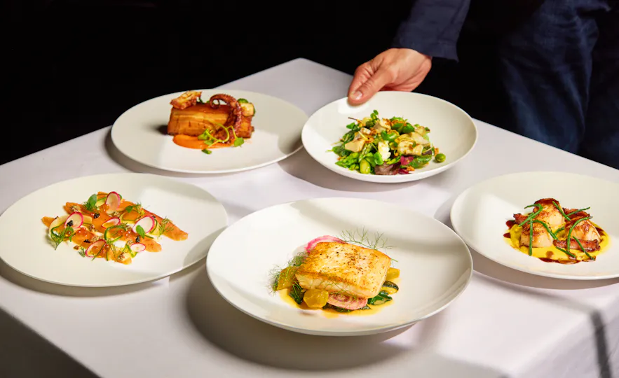Shepherd Mayfair
