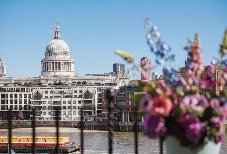 Swan London