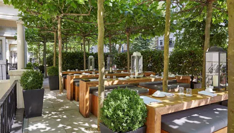Cafe Forty One at La Suite West Hotel