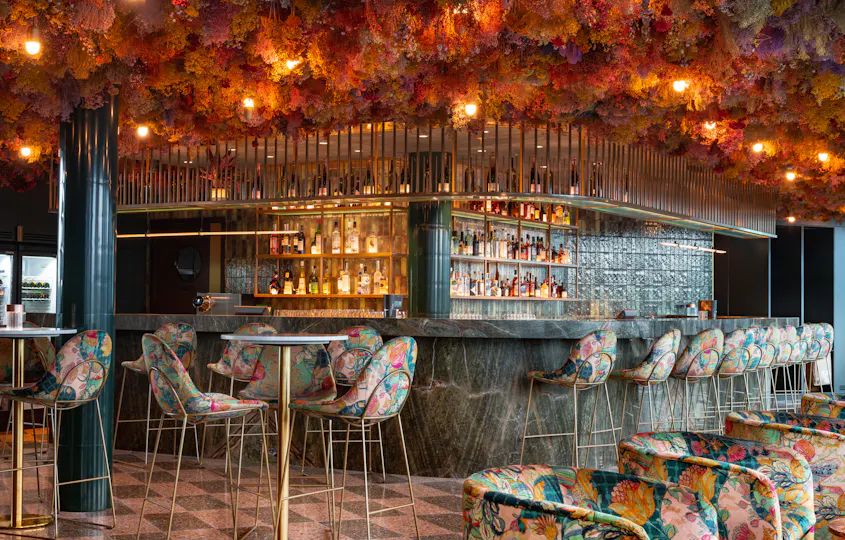 Canopy by Hilton 