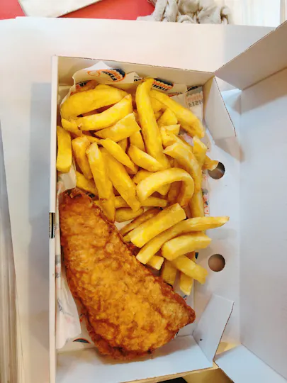 Fryer