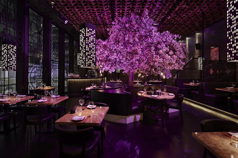 Tattu Manchester