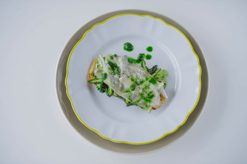 Brassica