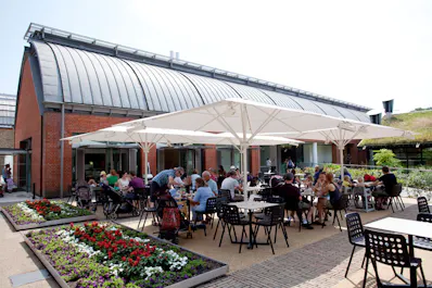Horniman Museum Café