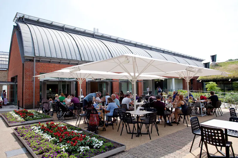 Horniman Museum Café