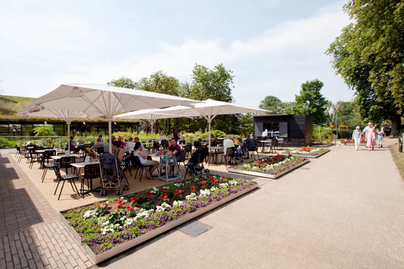 Horniman Museum Café