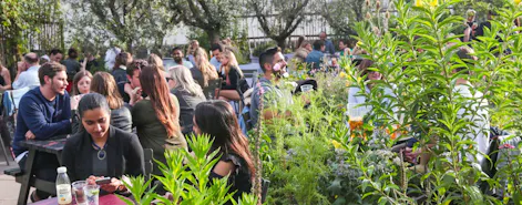 Queen Elizabeth Hall Roof Garden