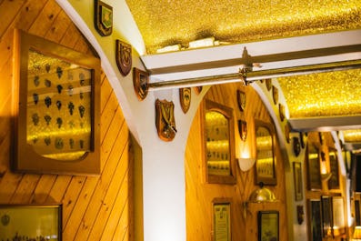 Moth Club