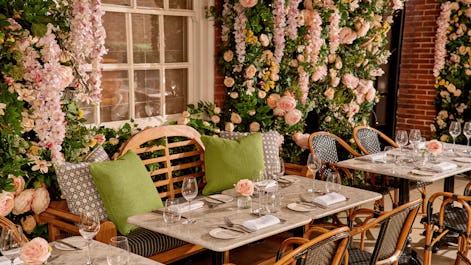 Dalloway Terrace