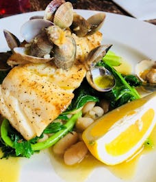 Anglesea Arms Hammersmith