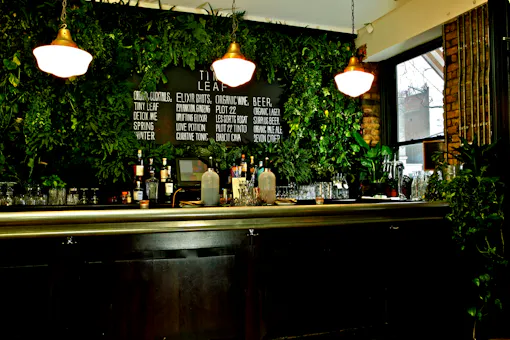Tiny Leaf (bar)