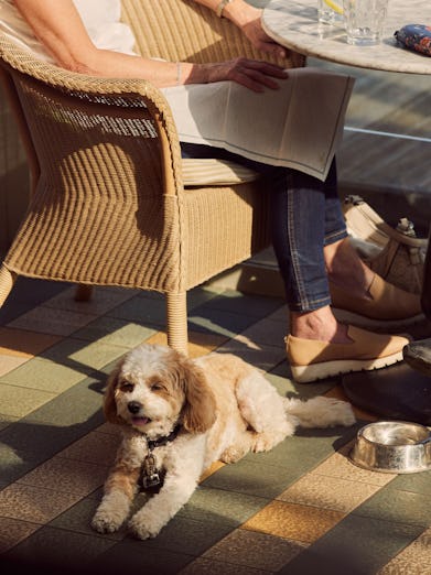 Coppa Club Sonning, Berkshire Restaurant Review, Menu, Opening Times