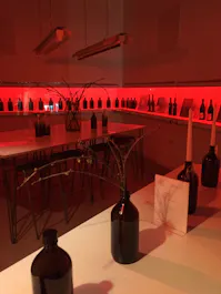 Stop Fix Wine