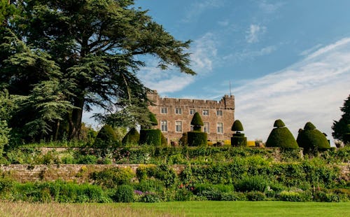 Allium at Askham Hall