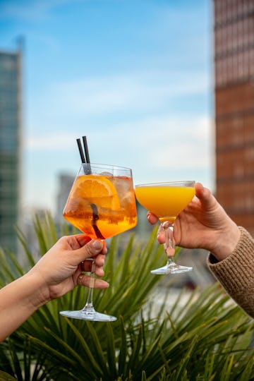 Aviary Rooftop Restaurant and Bar