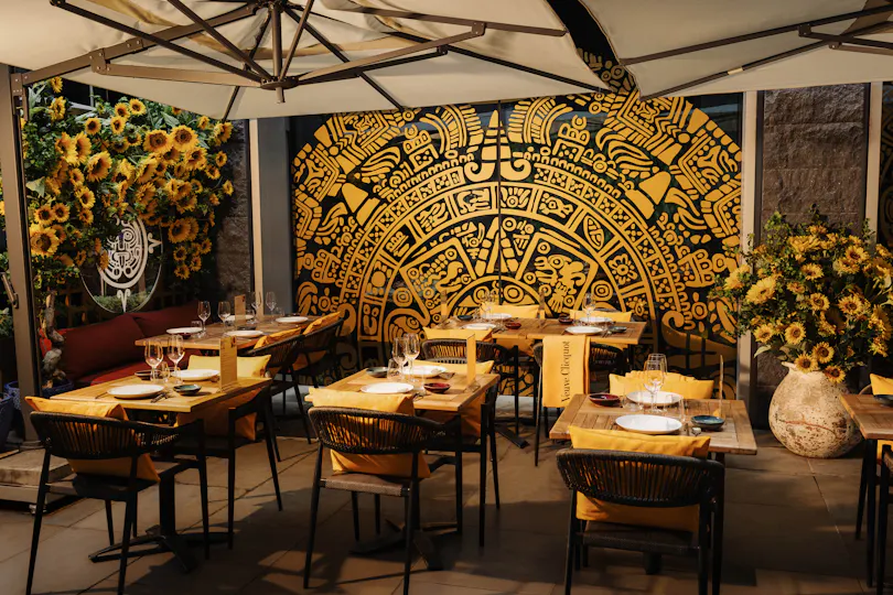 Coya City