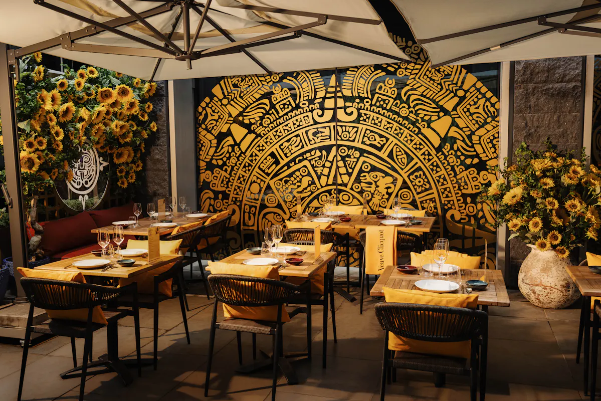 Coya City