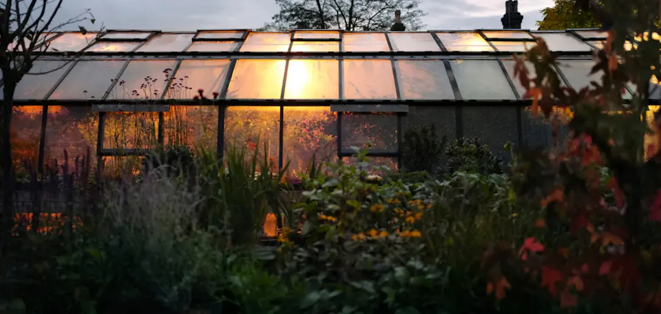 Petersham Nurseries Restaurant