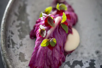 Aulis at L