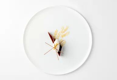 Frog by Adam Handling