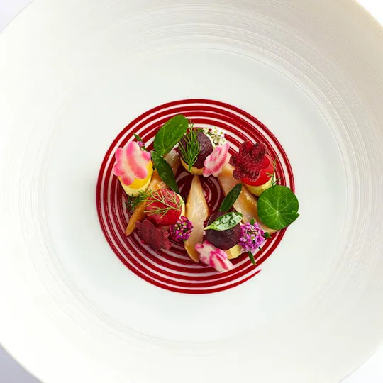 Frog by Adam Handling