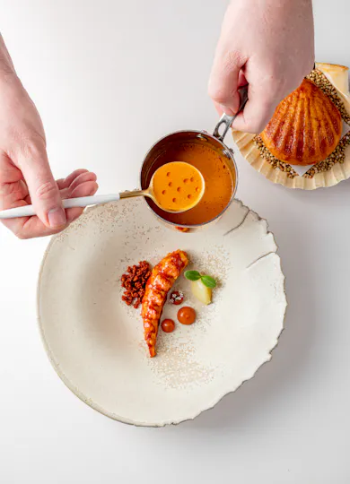 Frog by Adam Handling