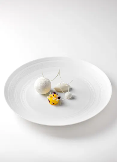 Frog by Adam Handling