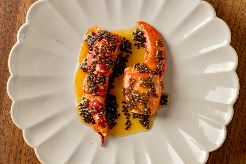 Frog by Adam Handling