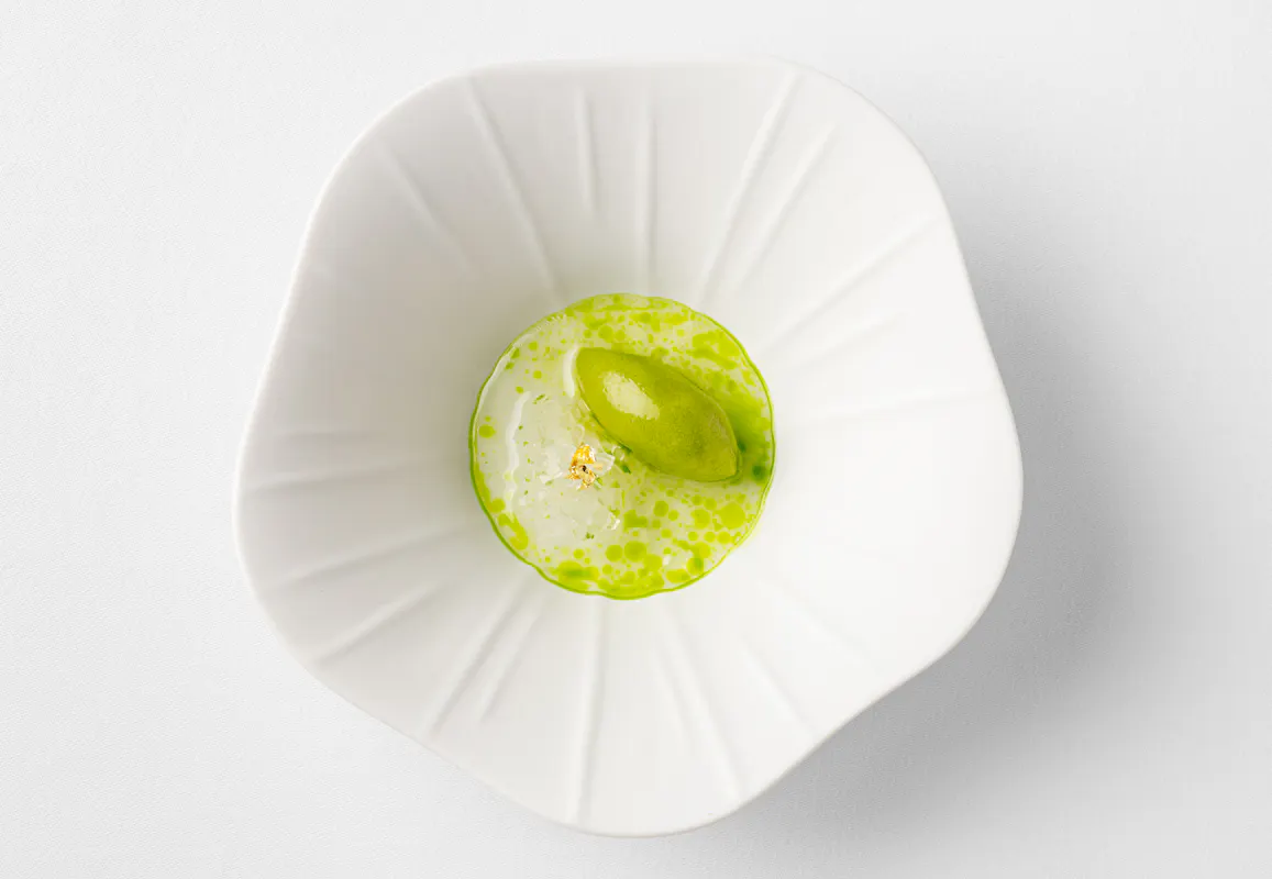 Frog by Adam Handling