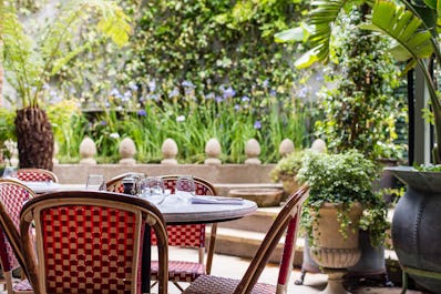 The Ivy City Garden