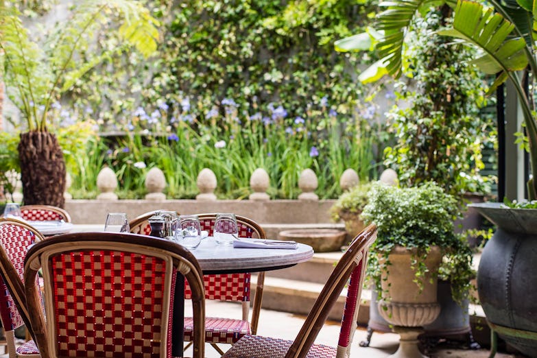 The Ivy City Garden, London - Restaurant Review, Menu, Opening Times