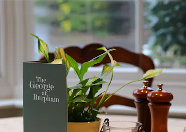 The George at Burpham