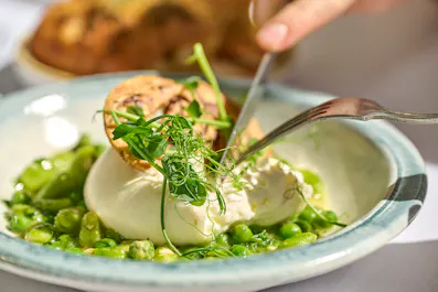 Orangery at Cannizaro House Wimbledon