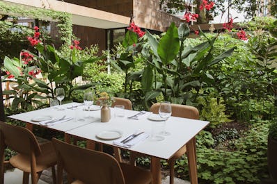 The Garden Café Lambeth