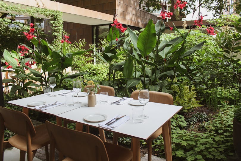 The Garden Café Lambeth