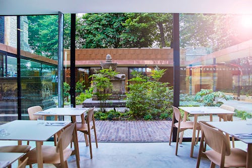 The Garden Café Lambeth