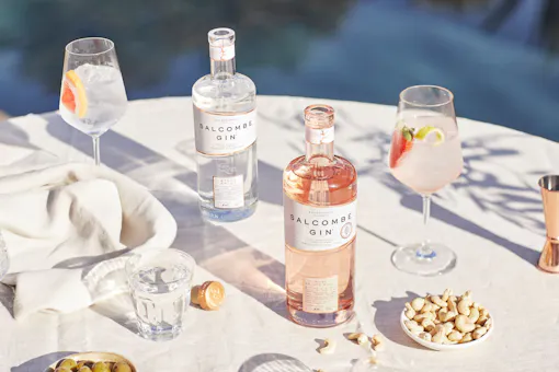 Salcombe Gin Bar